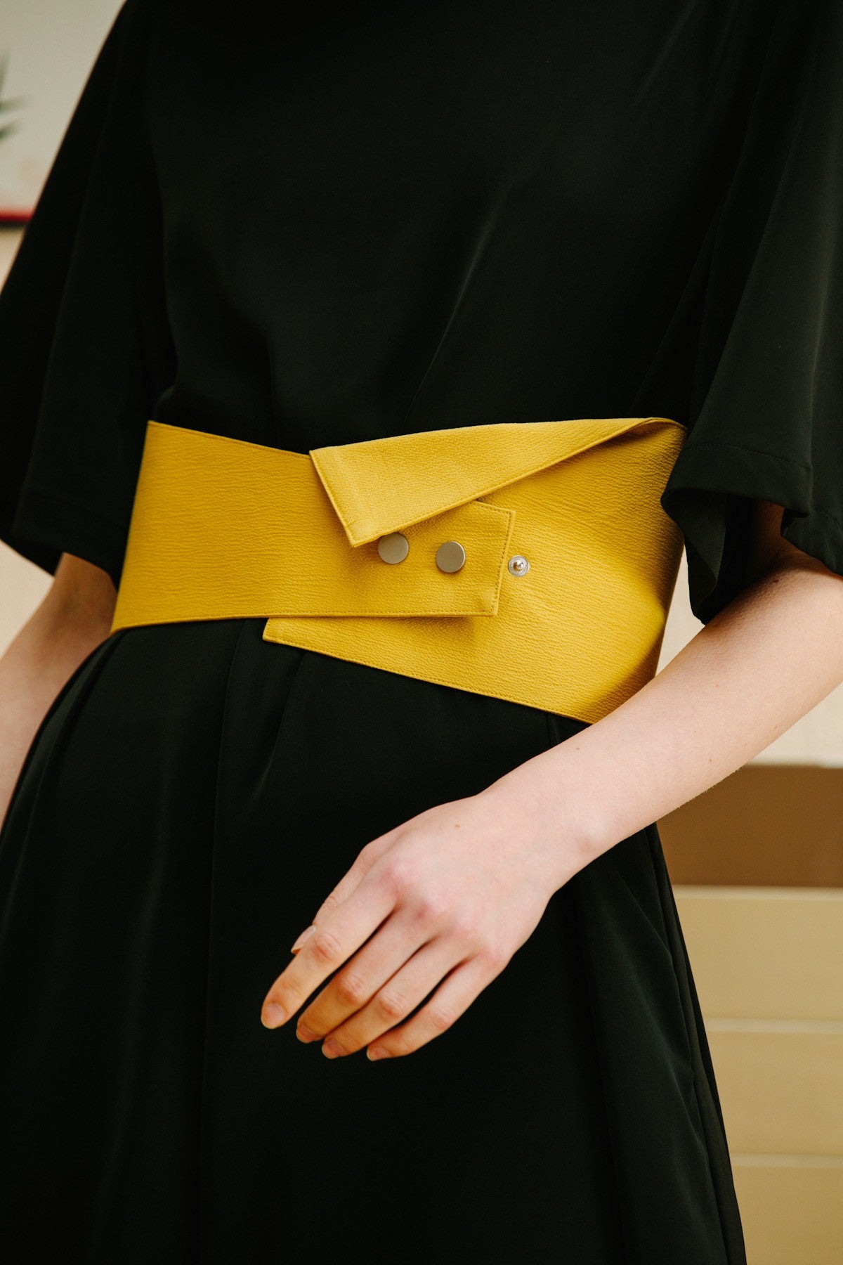 SKYE San Francisco SF California shop ethical sustainable modern minimalist luxury women fashion Lael Dress with Belt black 3